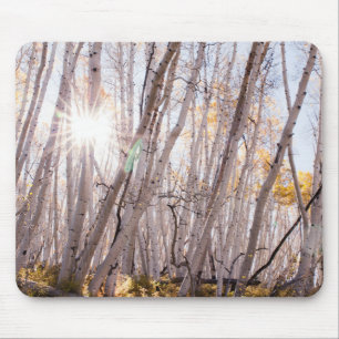 Aspen Trees Mouse Pad