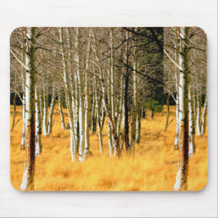 aspen trees mousepad