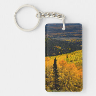 Aspen Trees (Populus Tremuloides) And Conifers Key Ring