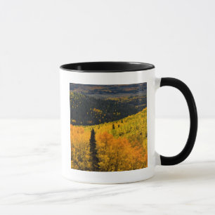 Aspen Trees (Populus Tremuloides) And Conifers Mug