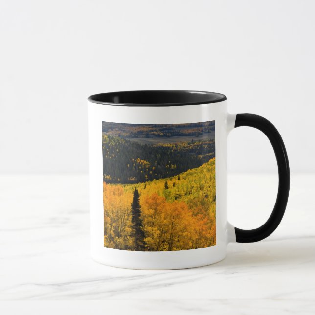Aspen Trees (Populus Tremuloides) And Conifers Mug (Right)