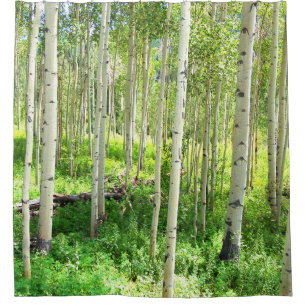Aspen Trees Shower Curtain
