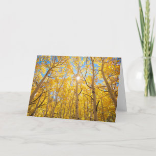Aspen Trees   Sierra Nevada Mountains, CA Card