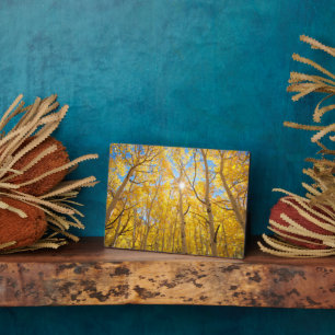 Aspen Trees   Sierra Nevada Mountains, CA Plaque
