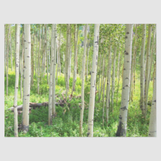 Aspen Trees Tissue Paper