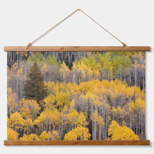 Aspen Trees White River National Forest Hanging Tapestry