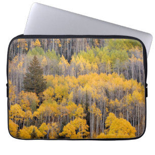 Aspen Trees White River National Forest Laptop Sleeve