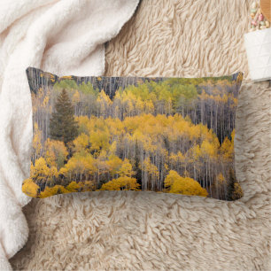 Aspen Trees White River National Forest Lumbar Cushion