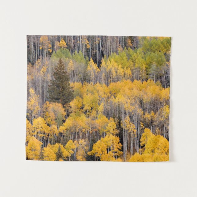 Aspen Trees | White River National Forest Tapestry (Front (Horizontal))
