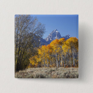 Aspen trees with the Teton mountain range 15 Cm Square Badge