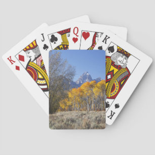 Aspen trees with the Teton mountain range 3 Playing Cards
