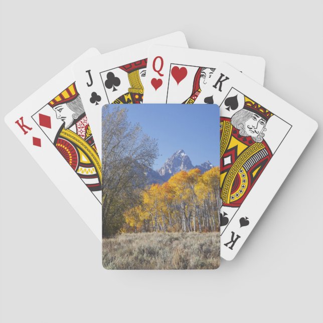 Aspen trees with the Teton mountain range 3 Playing Cards (Back)
