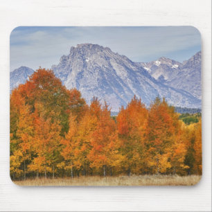 Aspen trees with the Teton mountain range 5 Mouse Pad