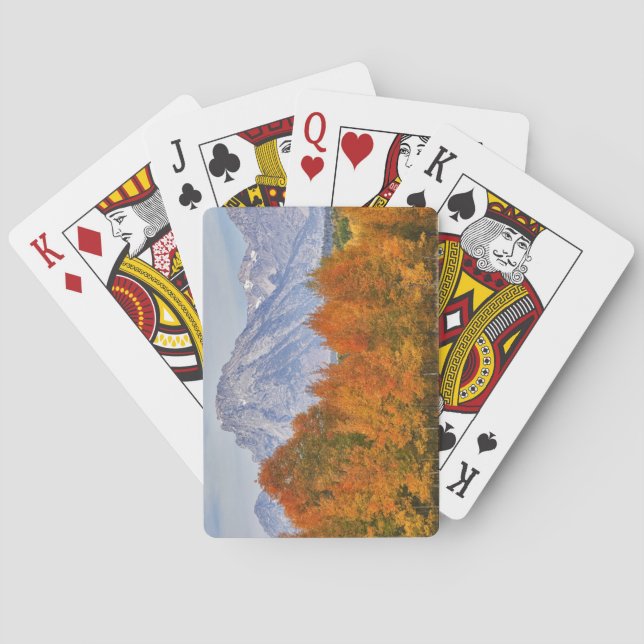 Aspen trees with the Teton mountain range 5 Playing Cards (Back)
