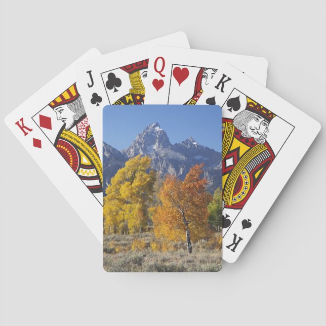 Aspen trees with the Teton mountain range 6 Playing Cards (Back)