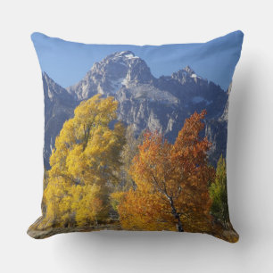 Aspen trees with the Teton mountain range Cushion