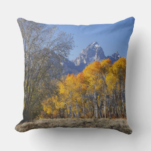 Aspen trees with the Teton mountain range Cushion