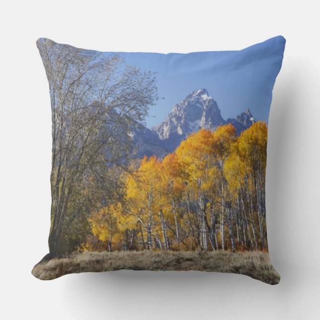 Aspen trees with the Teton mountain range Cushion (Front)