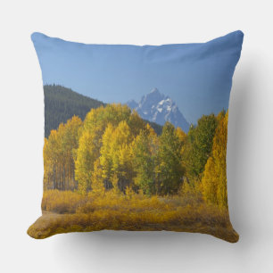 Aspen trees with the Teton mountain range Cushion