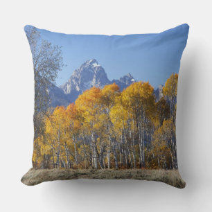 Aspen trees with the Teton mountain range Cushion