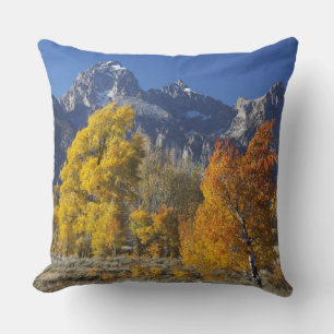 Aspen trees with the Teton mountain range Cushion