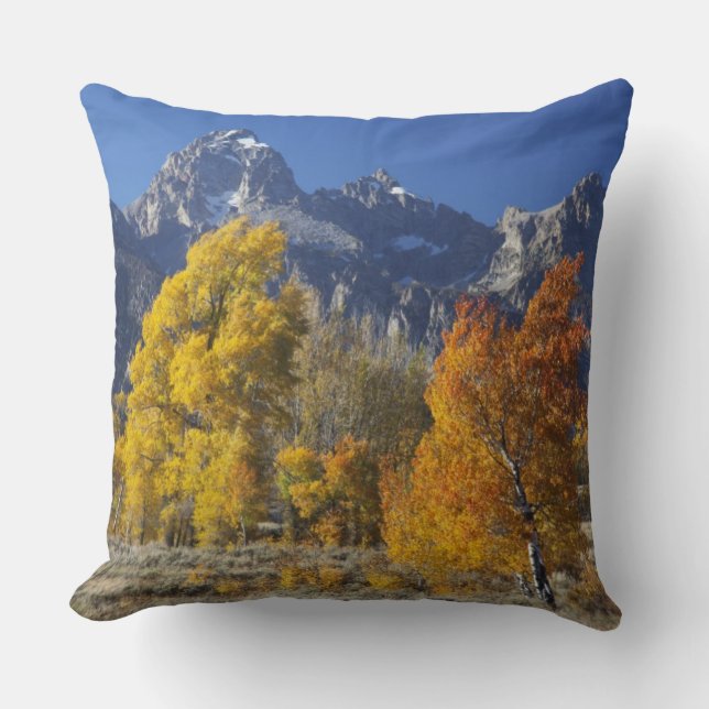 Aspen trees with the Teton mountain range Cushion (Front)