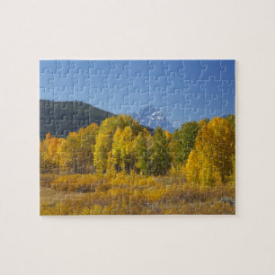 Aspen trees with the Teton mountain range Jigsaw Puzzle