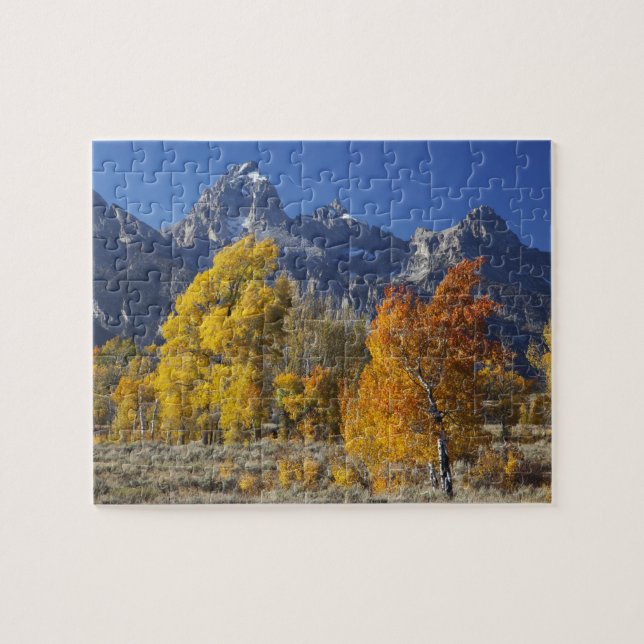 Aspen trees with the Teton mountain range Jigsaw Puzzle (Horizontal)