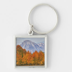Aspen trees with the Teton mountain range Key Ring
