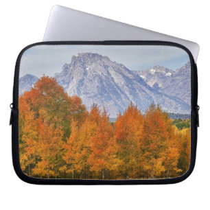 Aspen trees with the Teton mountain range Laptop Sleeve