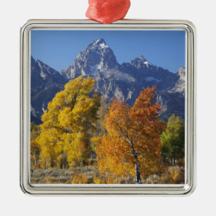 Aspen trees with the Teton mountain range Metal Ornament