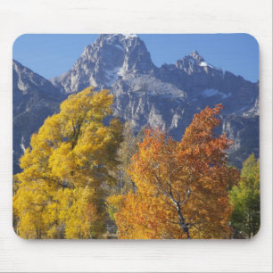 Aspen trees with the Teton mountain range Mouse Pad