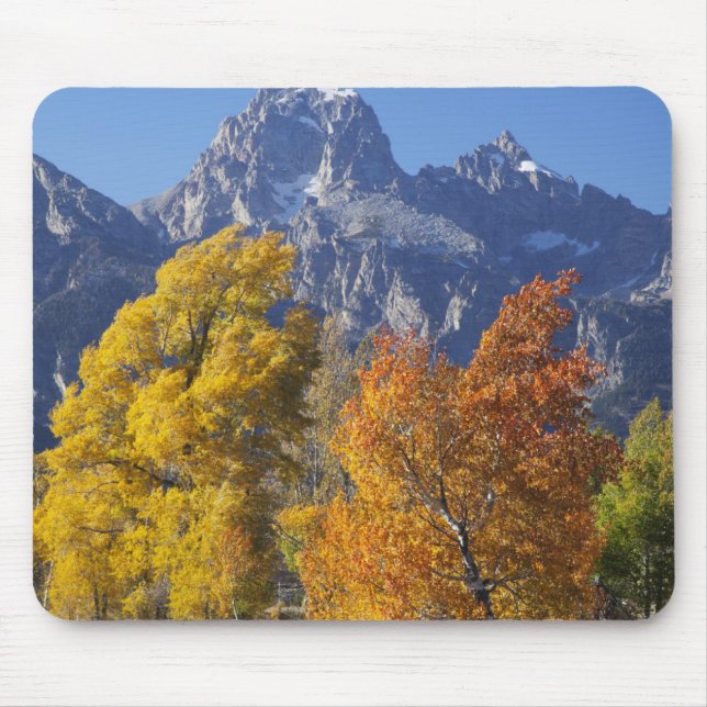 Aspen trees with the Teton mountain range Mouse Pad (Front)