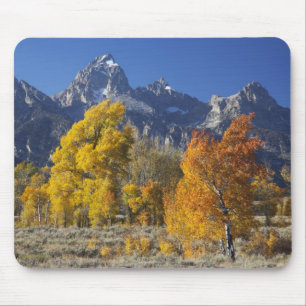 Aspen trees with the Teton mountain range Mouse Pad