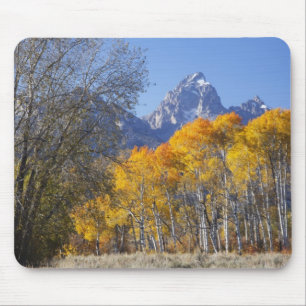Aspen trees with the Teton mountain range Mouse Pad