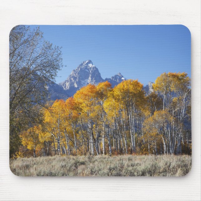 Aspen trees with the Teton mountain range Mouse Pad (Front)