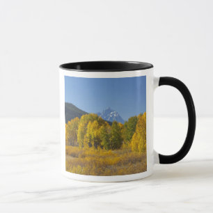 Aspen trees with the Teton mountain range Mug