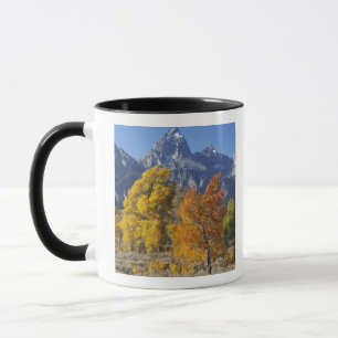 Aspen trees with the Teton mountain range Mug