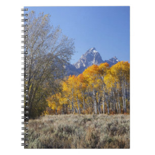 Aspen trees with the Teton mountain range Notebook