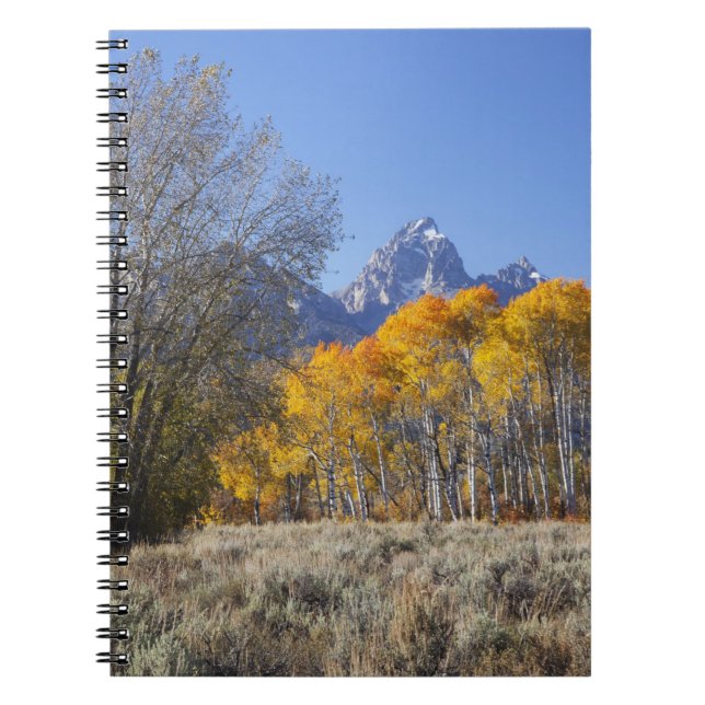 Aspen trees with the Teton mountain range Notebook (Front)