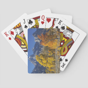 Aspen trees with the Teton mountain range Playing Cards