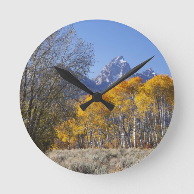 Aspen trees with the Teton mountain range Round Clock (Front)