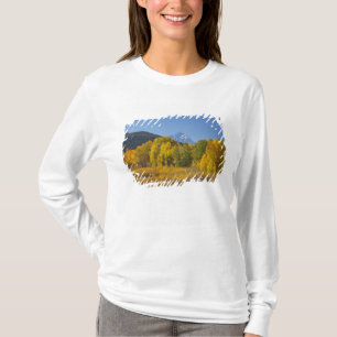 Aspen trees with the Teton mountain range T-Shirt