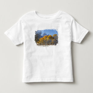 Aspen trees with the Teton mountain range Toddler T-Shirt