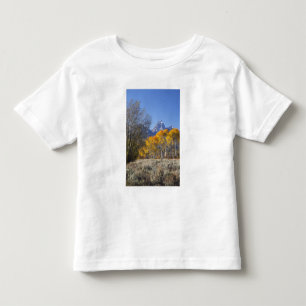 Aspen trees with the Teton mountain range Toddler T-Shirt