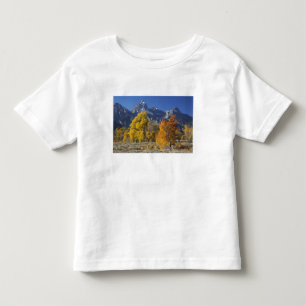 Aspen trees with the Teton mountain range Toddler T-Shirt