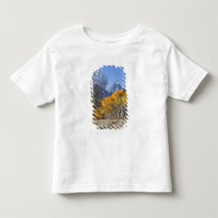 Aspen trees with the Teton mountain range Toddler T-Shirt