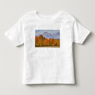Aspen trees with the Teton mountain range Toddler T-Shirt