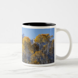 Aspen trees with the Teton mountain range Two-Tone Coffee Mug
