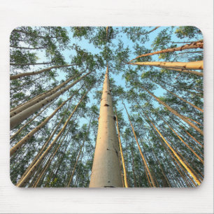 Aspen Trunks And Leaves, Yukon Mouse Pad